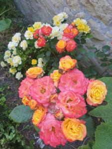 Maisons de vacances Maison de charme avec Jardin-Calme- Fibre : photos des chambres