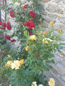 Maisons de vacances Maison de charme avec Jardin-Calme- Fibre : photos des chambres