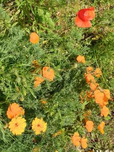 Maisons de vacances Maison de charme avec Jardin-Calme- Fibre : photos des chambres