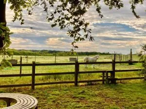 Nestled between Walberswick and Southwold - Blythburgh