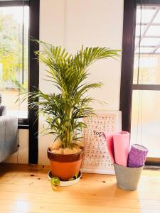 Beachside Villa - IBII STAY - BBQ and Bon fire,surfing,fishing