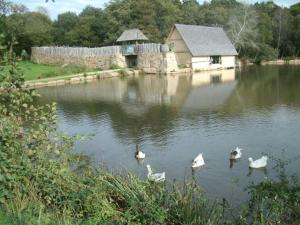 Maisons de vacances Le beau sejour : photos des chambres