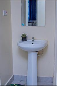 Olive homes Thika Town