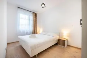 Chorzów Inviting Apartment - 希隆斯克地区佩卡雷
