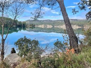 Maisons de vacances Chez Georges - Maison 3 - les Gites du Verdon : photos des chambres