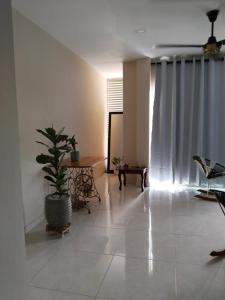 Oasis Olmos