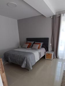 Appartements superbe 2 pieces vue sur chateau : photos des chambres