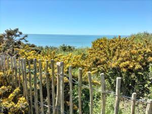 Chalets Chalet ARZAL : photos des chambres