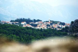 Old Stone House with private Swimming Pool