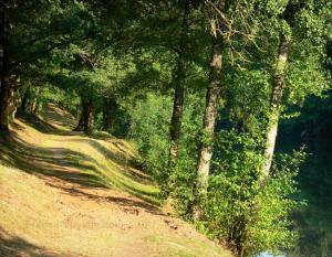 Campings Camping Au Lac d-Hautibus : photos des chambres