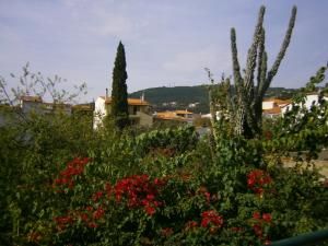 Pansion Chrisa Skiathos Greece