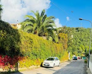 Civico 11 Guest House -Free parking-wi-fi