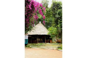 The Giraffe Cottages