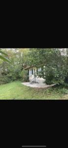 Maison charmante bordée de bambous