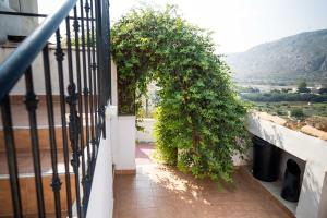 Village house with incredible views!