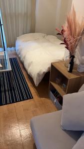 Château Minami 6jōkan 302 Sapporo Studio Room, Accommodates Up to 3 Guests