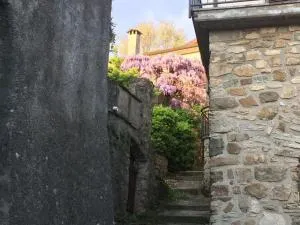 La casa del bosco - Irola