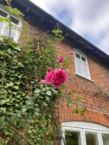 Meadow Cottage a pretty Secluded 3 bedroom house