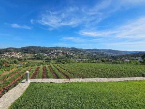 Quinta de Casal do Bairro Casa Grande