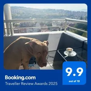 VANITY Apartments - 桑丹斯基