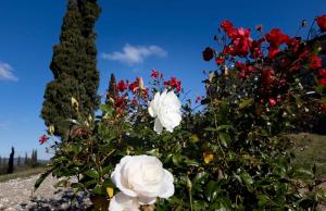 Agriturismo il Ghiaccio