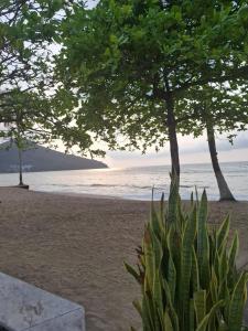 Apartamento em Caraguatatuba - checkout flexível