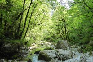 Baita La Ciamorza Dolomiti - Veneto