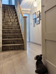 Rock Gardens - by Brighton Holiday Lets