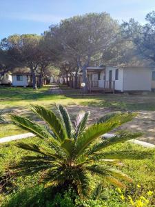 Camping Village Baia Paradiso img22