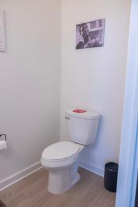 Two Story Penthouse, 2 Bedrooms with 2 and a half bathrooms, 2 Balconies, Skyline View, Pool