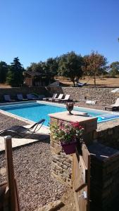Maisons de vacances Les Pins : photos des chambres
