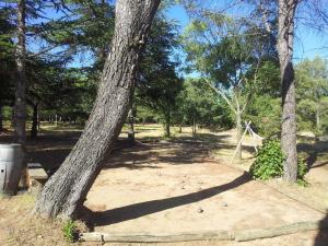 Maisons de vacances Les Pins : photos des chambres
