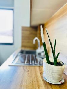 Prime Location Cozy Apartment near Pazari i ri