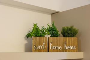 Beach Haus #227 - Studio em Bessa por Carpediem