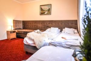 Willa Karolcia Zakopane - Tatra House