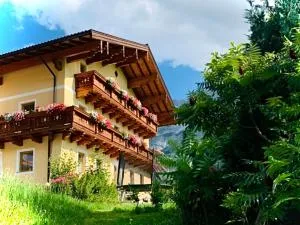 Alpen Appartements Oberlehengut - Верфенвенг