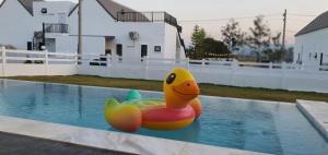 พูลวิลล่าเขาใหญ่ฮิลล์ Pool Villa Khaoyai Hill