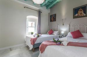 Catedral Moderno Centro