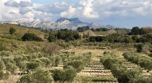 Maisons de vacances Lodge en Provence : photos des chambres