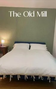 The Old Mill - 齐格威尔