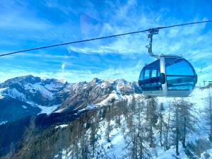 Alpen Appartements Oberlehengut