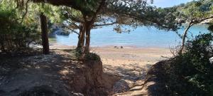 Terra Mare apartments