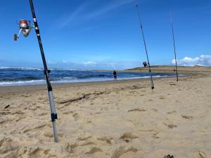 Appartements Appartement Moliets Plage Golf : photos des chambres