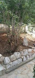 Terra Mare apartments