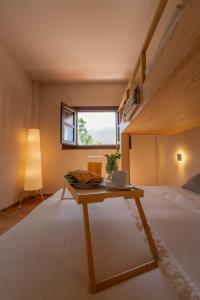 Hotel Taray Botanico