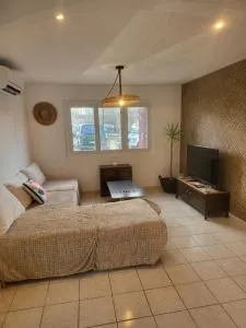 La garrigue - 弗龙蒂尼昂