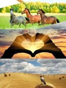 Appartement Calme Et Lumineux - Radinghem-en-Weppes