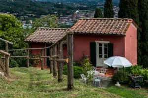 Residence Collecchio - Tulipano - Uzzano