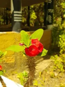 Campement Syndeye - Abene