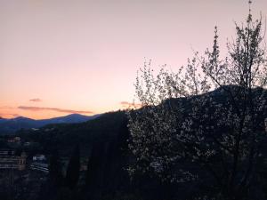 Rustico tra gli Ulivi